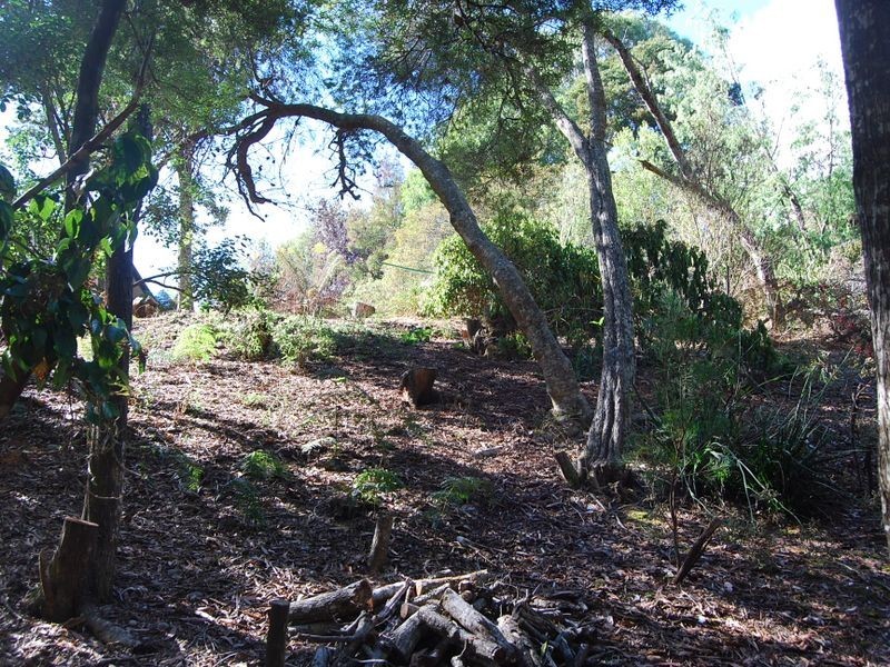 6 Elfrida Avenue, Sisters Beach TAS 7321