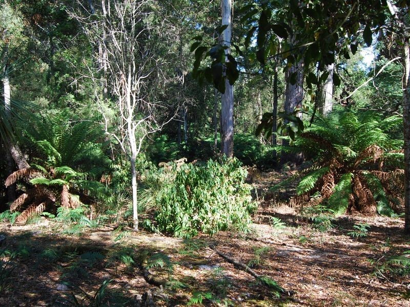 6 Elfrida Avenue, Sisters Beach TAS 7321