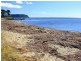 107 Old Bass Highway, Wynyard TAS 7325