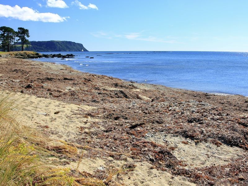 107 Old Bass Highway, Wynyard TAS 7325