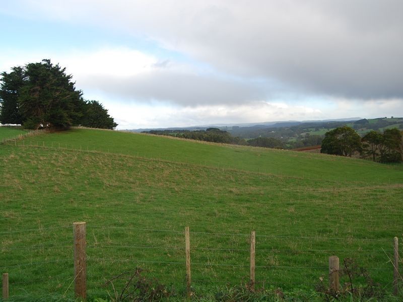 599 Tollymore Road, Table Cape TAS 7325