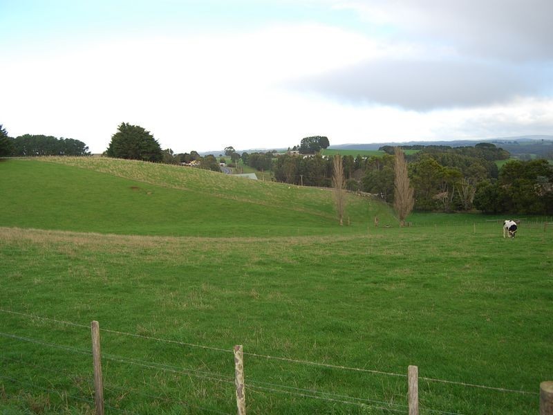 599 Tollymore Road, Table Cape TAS 7325