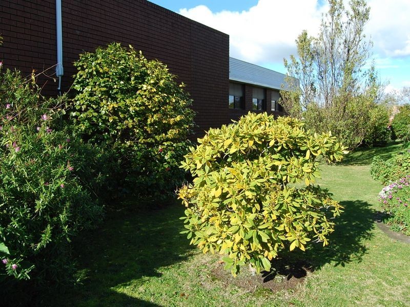 142 Goldie Street, Wynyard TAS 7325