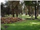 22 Boyndey Road, Black River TAS 7321
