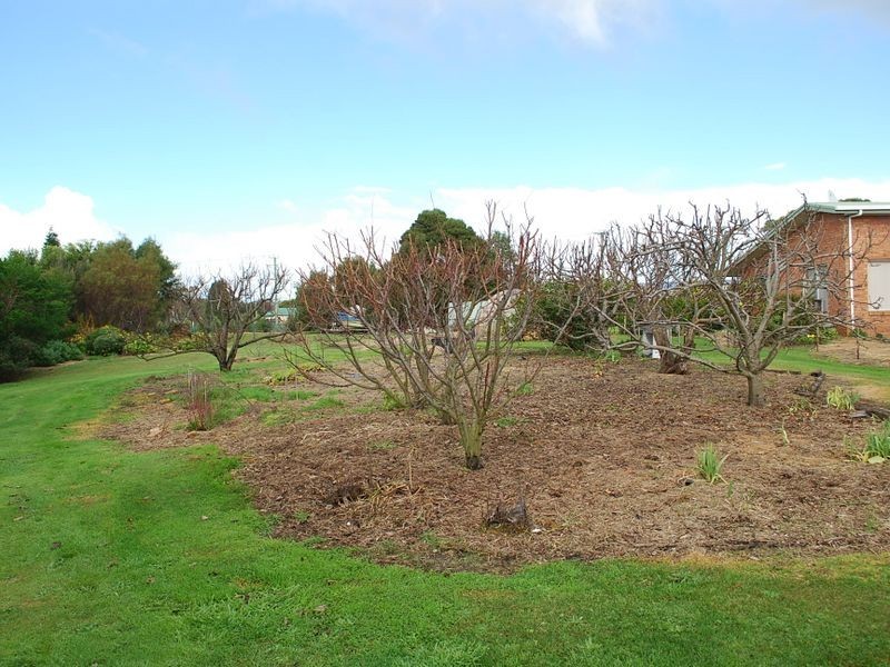 22 Boyndey Road, Black River TAS 7321