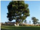 92 Coates RD, Mount Hicks TAS 7325