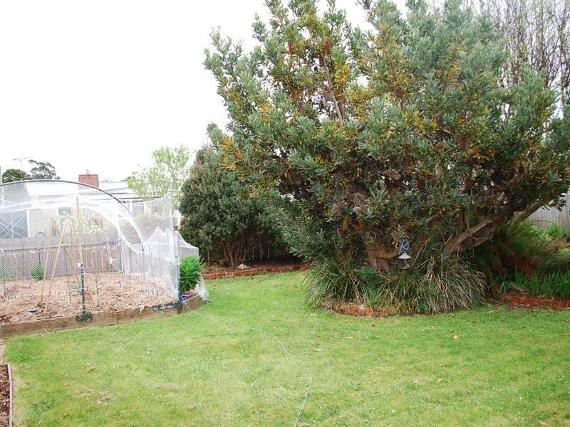 43 Jenner Street, Wynyard TAS 7325