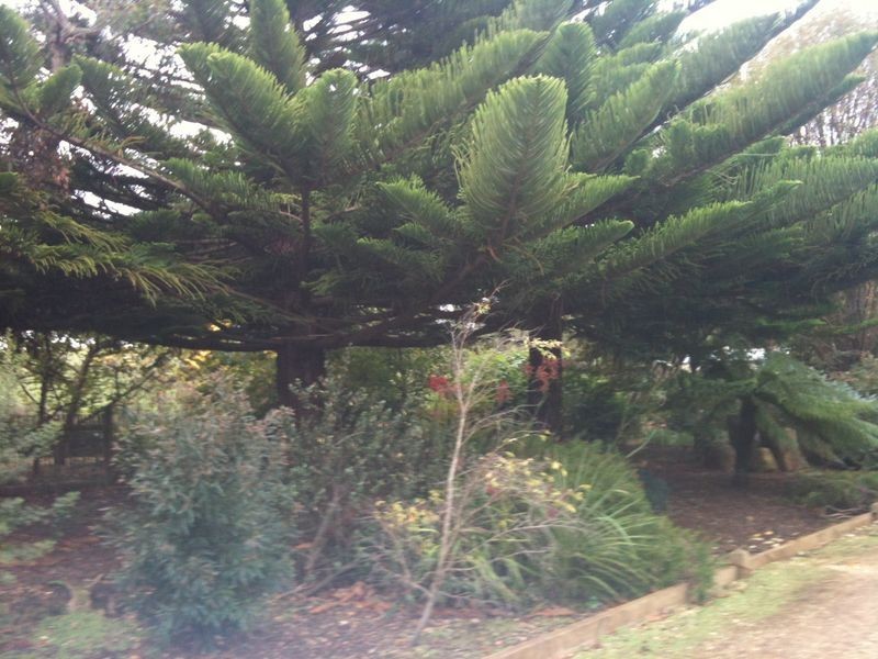 30 Dobsons Lane, Boat Harbour TAS 7321