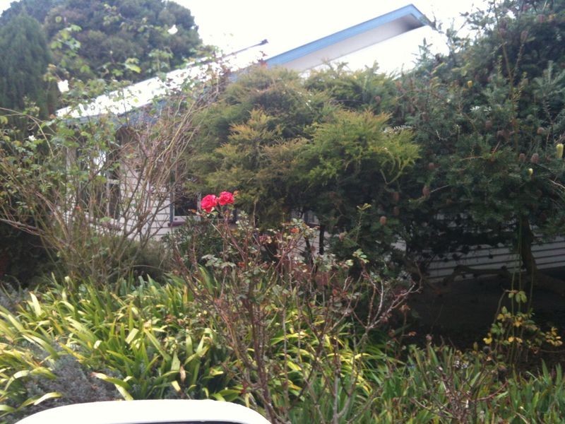 30 Dobsons Lane, Boat Harbour TAS 7321