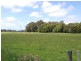 Myalla Road, Calder TAS 7325