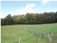 Myalla Road, Calder TAS 7325