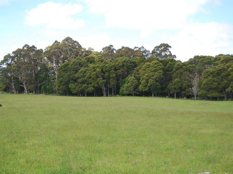 Myalla Road, Calder TAS 7325