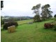 502 Murchison Highway, Somerset TAS 7322