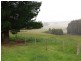 186 Old Mount Hicks Road, Mount Hicks TAS 7325