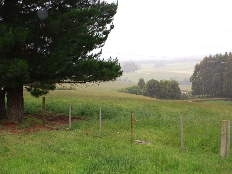 186 Old Mount Hicks Road, Mount Hicks TAS 7325