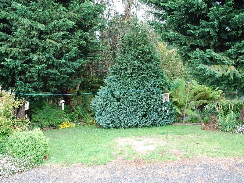 186 Old Mount Hicks Road, Mount Hicks TAS 7325