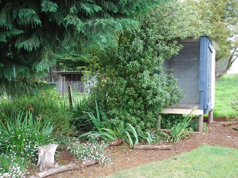 186 Old Mount Hicks Road, Mount Hicks TAS 7325