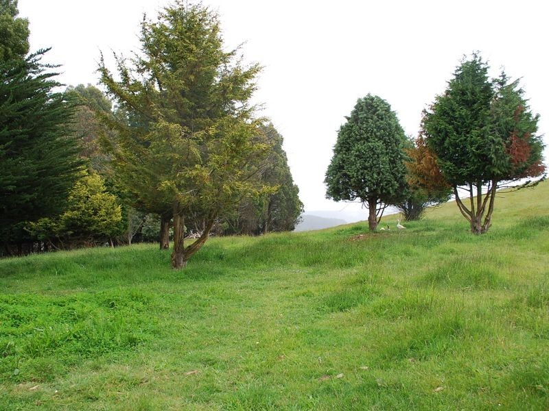 186 Old Mount Hicks Road, Mount Hicks TAS 7325