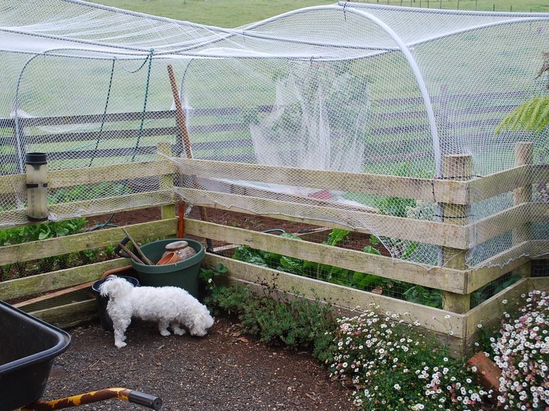 186 Old Mount Hicks Road, Mount Hicks TAS 7325