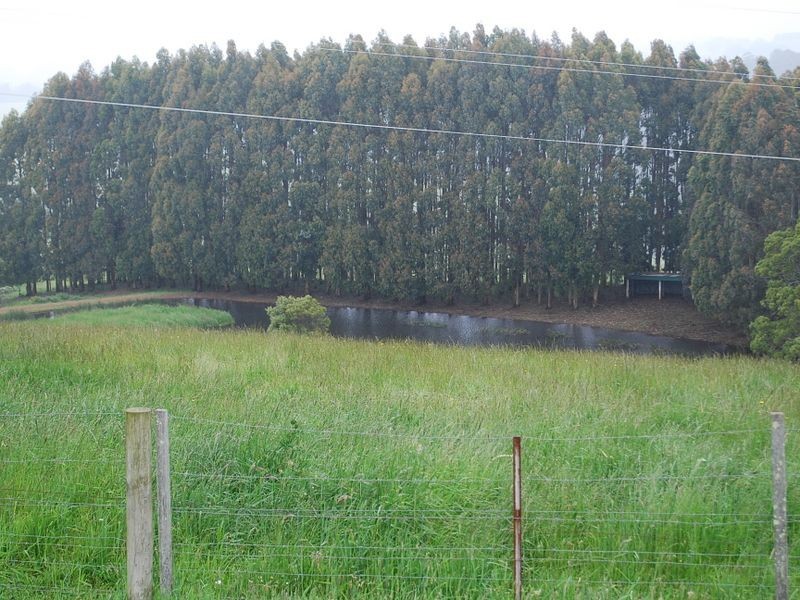 186 Old Mount Hicks Road, Mount Hicks TAS 7325