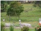 130 Deep Creek Road, Wynyard TAS 7325