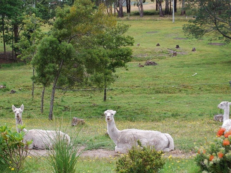 130 Deep Creek Road, Wynyard TAS 7325