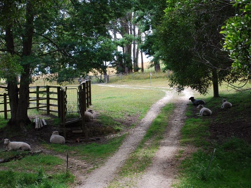 130 Deep Creek Road, Wynyard TAS 7325