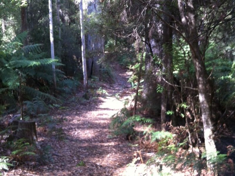 Pages Road, Moorleah TAS 7325