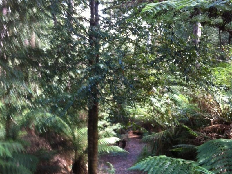 Pages Road, Moorleah TAS 7325