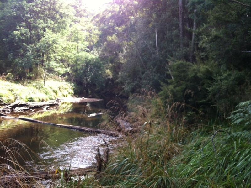 Pages Road, Moorleah TAS 7325