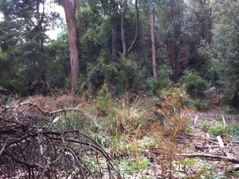 Pages Road, Moorleah TAS 7325