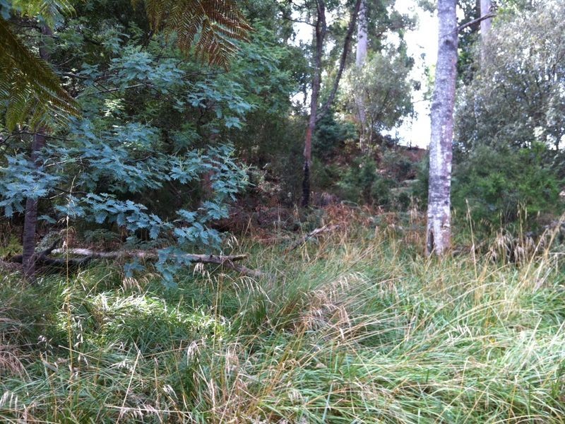 Pages Road, Moorleah TAS 7325