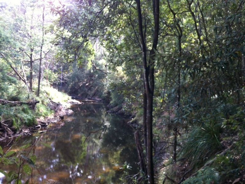 Pages Road, Moorleah TAS 7325