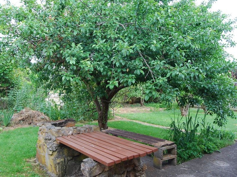 227 Old Bass Highway, Wynyard TAS 7325