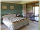 16666 Bass Highway, Wynyard TAS 7325