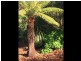 249 Port Road, Boat Harbour Beach TAS 7321