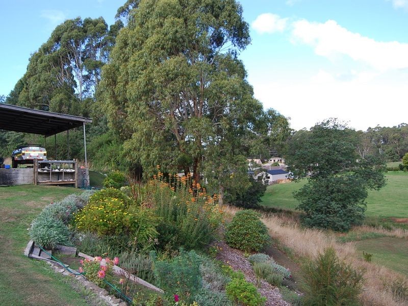 20 Wilkinson Street, Wynyard TAS 7325