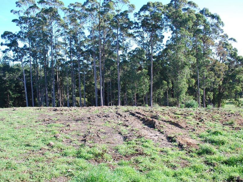 Lot 21 Lennah Drive, Wynyard TAS 7325