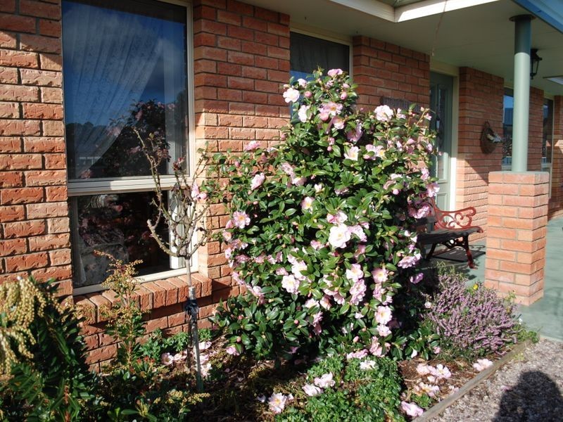 2 York Court, Wynyard TAS 7325