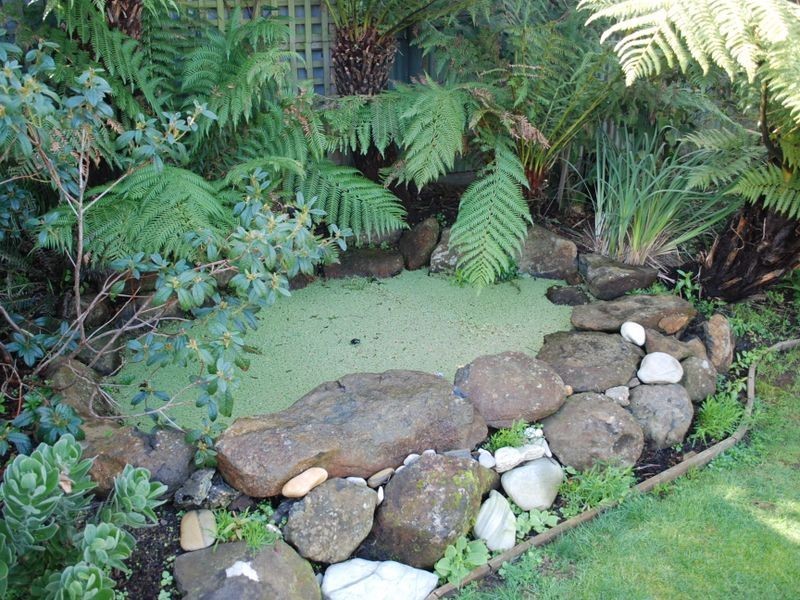 2 York Court, Wynyard TAS 7325