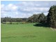 221 Preolenna Road, Flowerdale TAS 7325