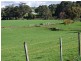 221 Preolenna Road, Flowerdale TAS 7325