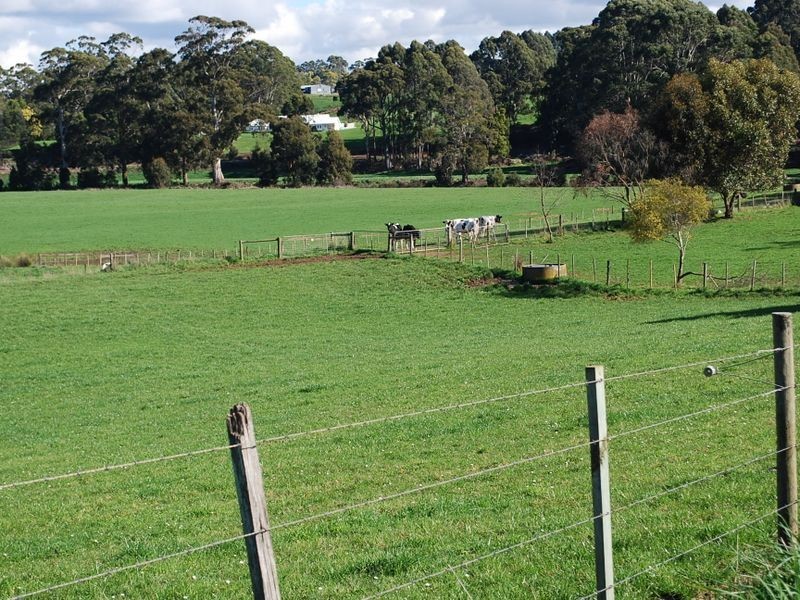 221 Preolenna Road, Flowerdale TAS 7325