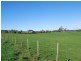 221 Preolenna Road, Flowerdale TAS 7325