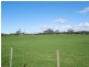 221 Preolenna Road, Flowerdale TAS 7325
