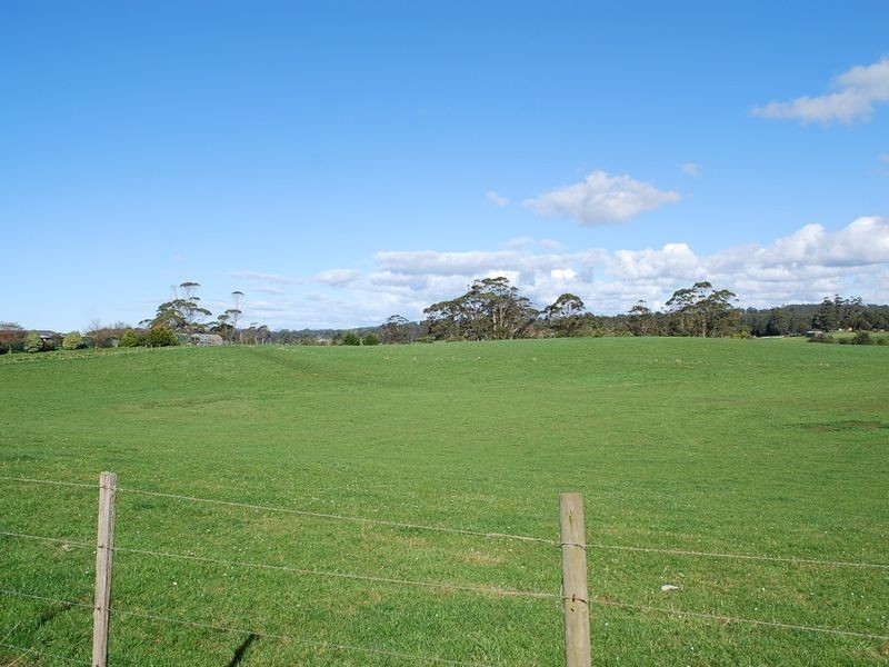 221 Preolenna Road, Flowerdale TAS 7325