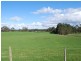 221 Preolenna Road, Flowerdale TAS 7325