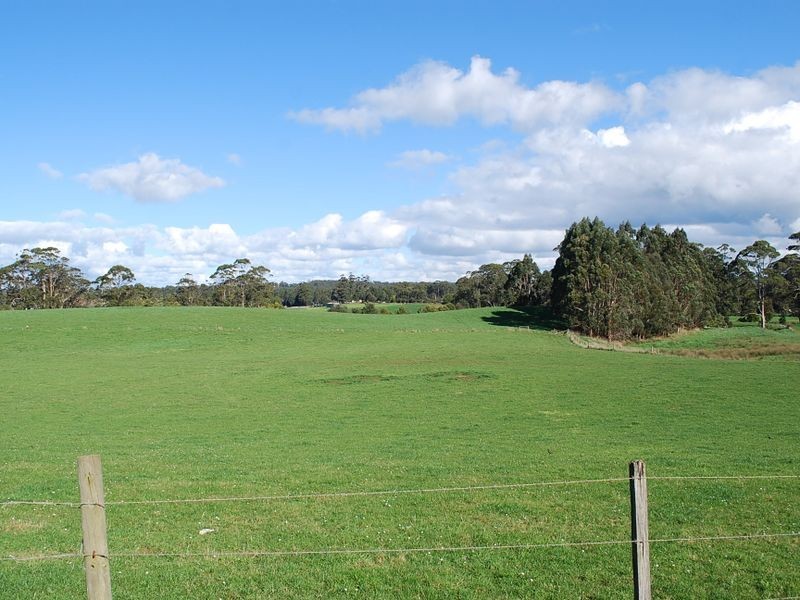 221 Preolenna Road, Flowerdale TAS 7325
