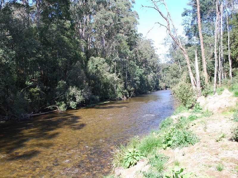 183 Ingleford Road, Calder TAS 7325