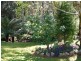 183 Ingleford Road, Calder TAS 7325